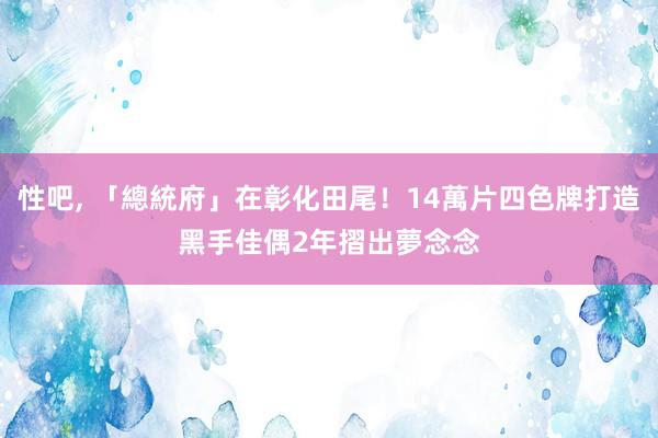 性吧, 「總統府」在彰化田尾！14萬片四色牌打造　黑手佳偶2年摺出夢念念